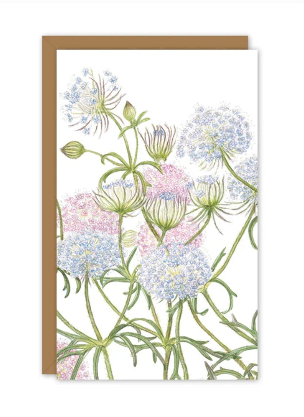 Studio N small card - Rottnest Island Daisy