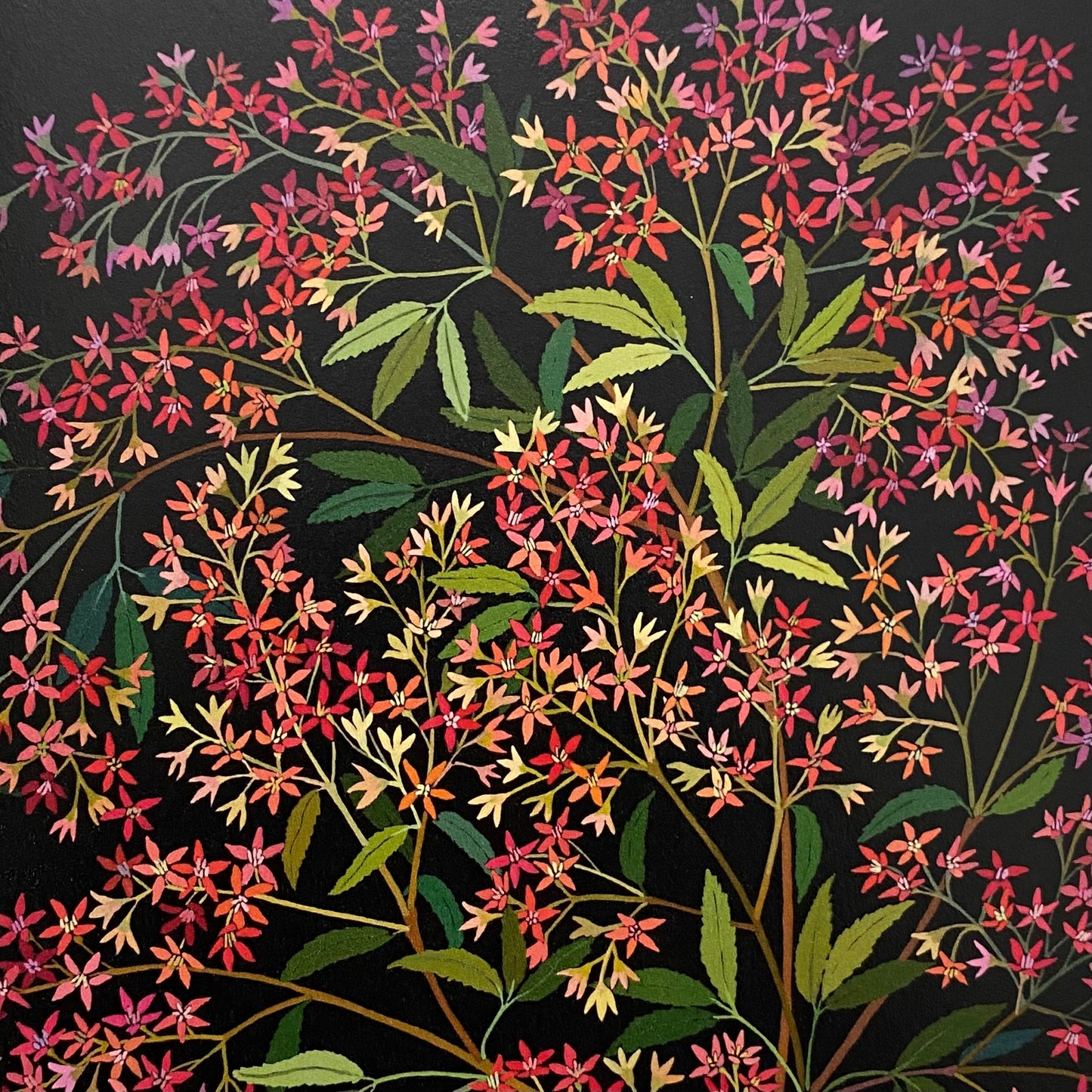 Flowers In Your Hair Card - Christmas Bush