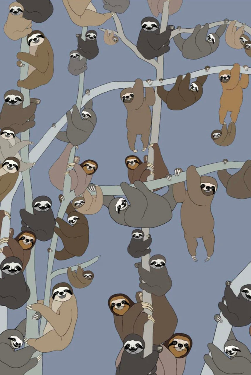 Red Parka Card Sloths
