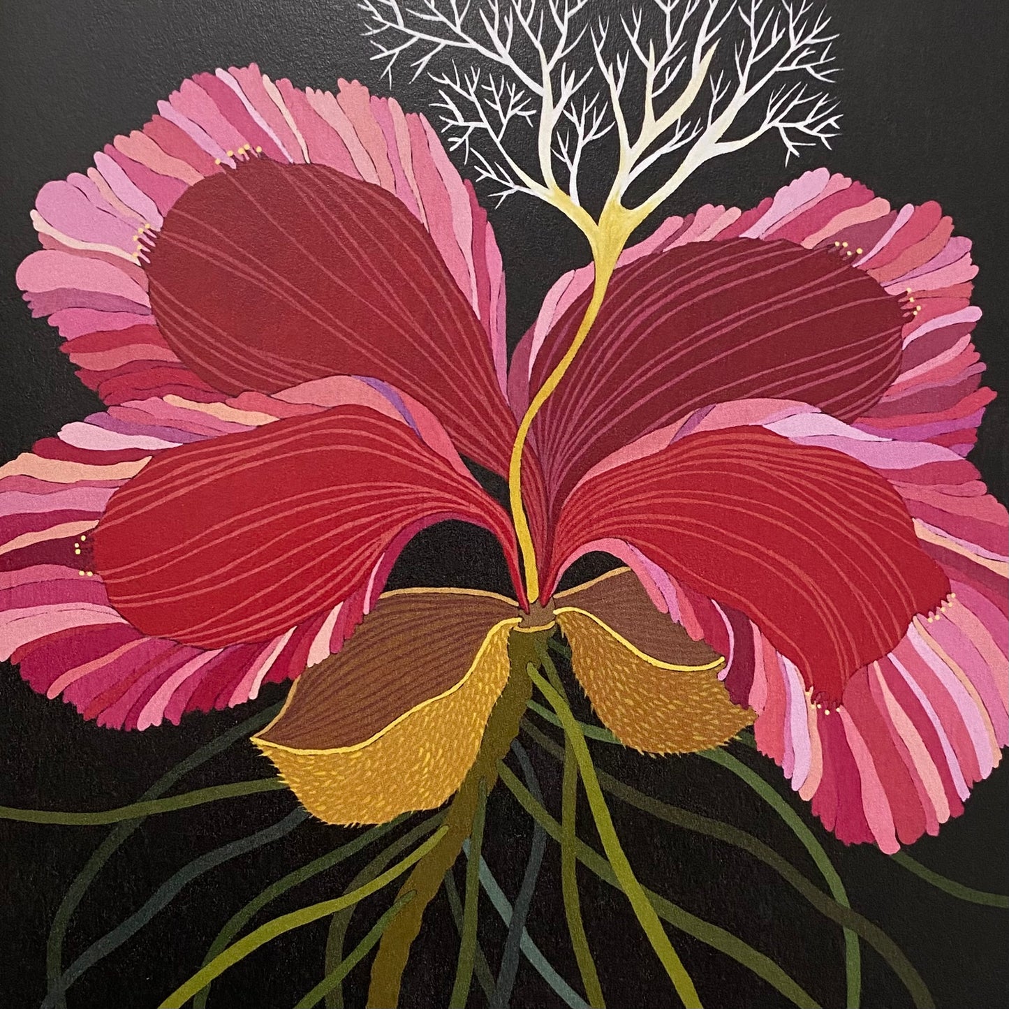 Flowers In Your Hair Card - Red Tree Poppy