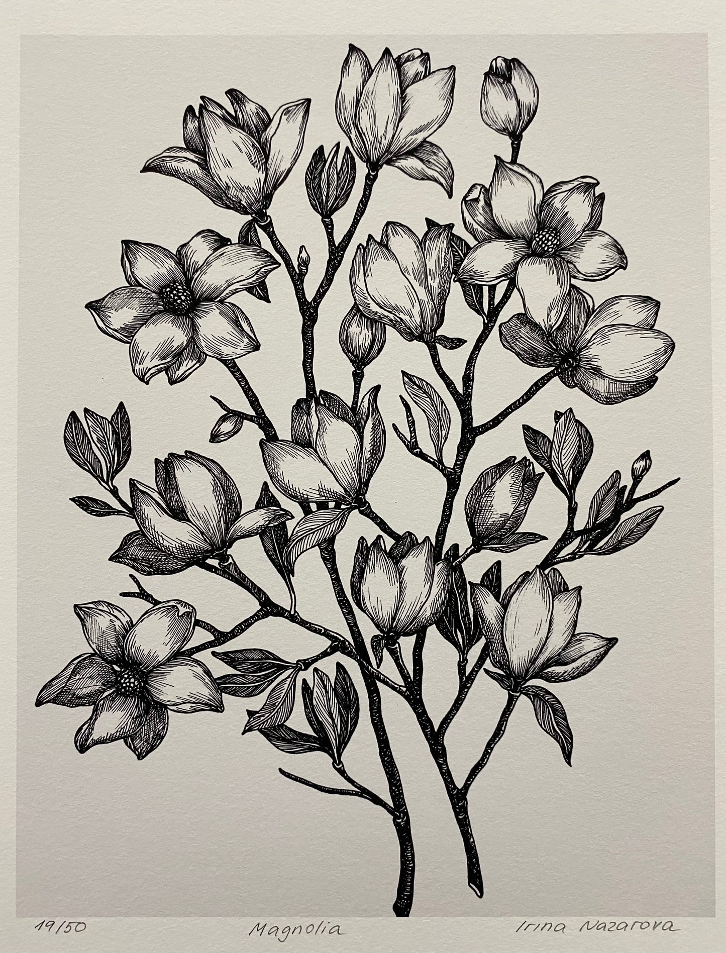 Flowers In Your Hair B/W Print - Magnolia