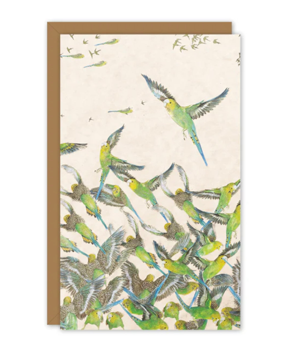 Studio N small card - budgies
