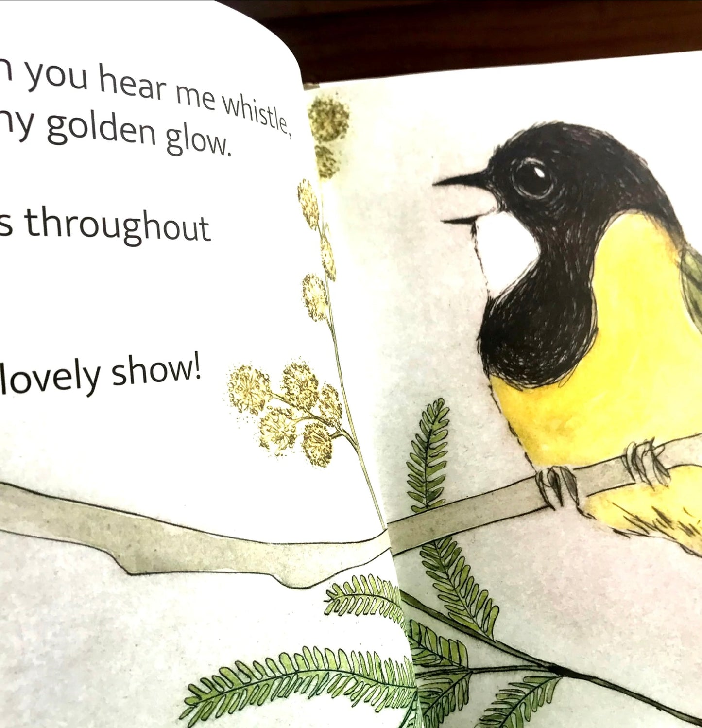 The Bush Birds Book by Bridget Farmer