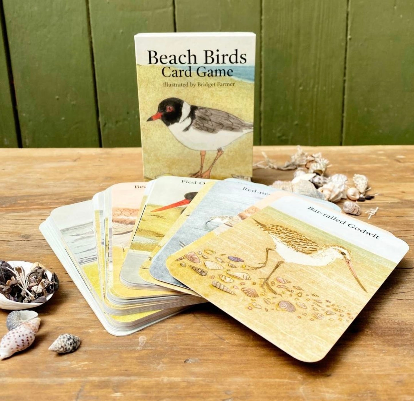 Beach Birds Card Game by Bridget Farmer