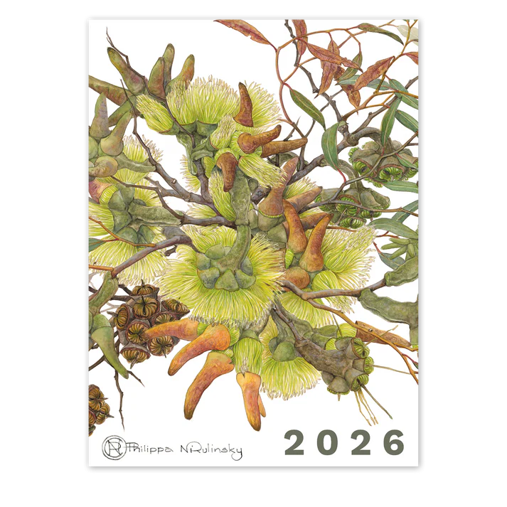 Studio N Calendar 2026