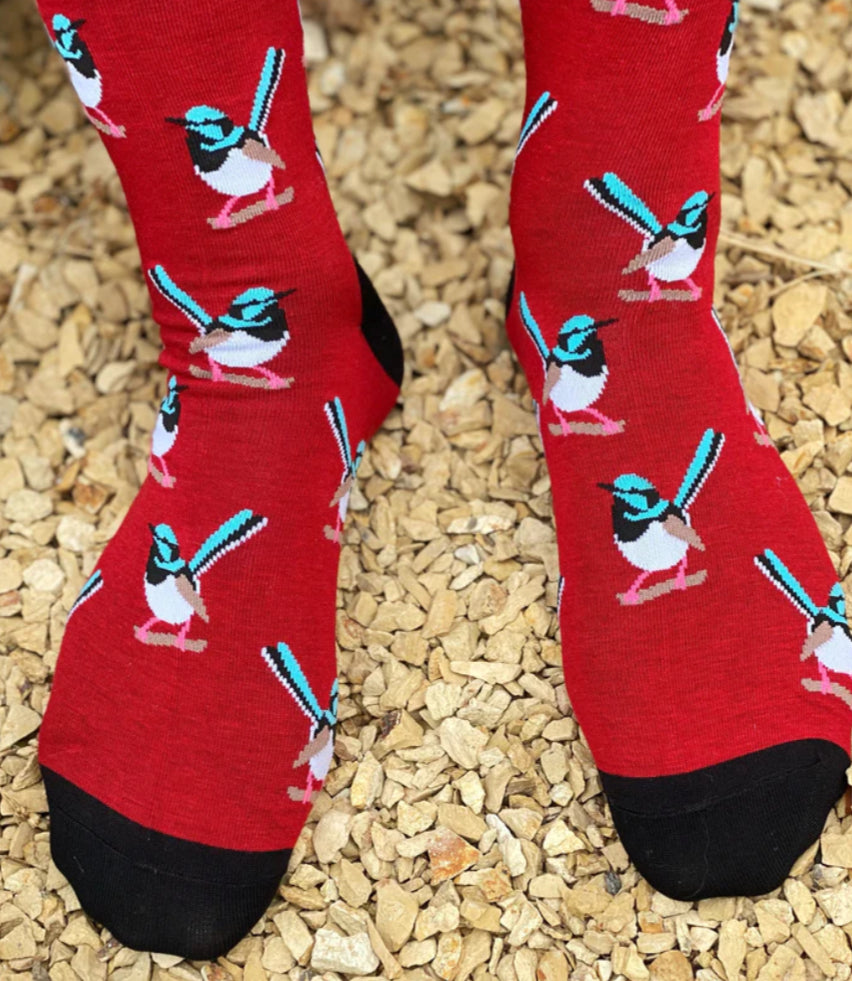 Red Parka Socks- Fairy Wren