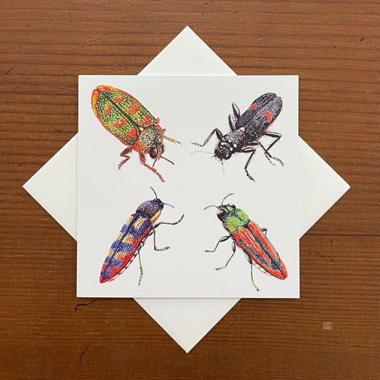 Studio N Square Card - Jewel Beetles