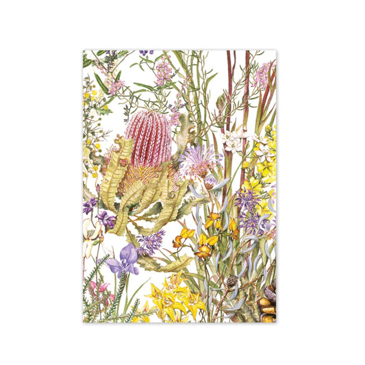 Studio N Card Wildflowers of Kings Park