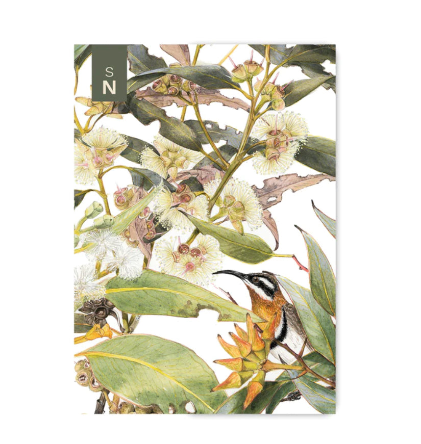Studio N Pocket Notebook - Spinebill and Gum Tree