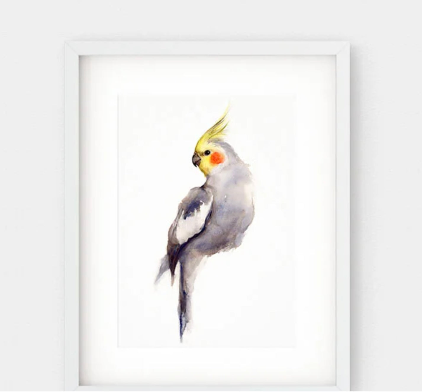 Choose Arts Art by Qing - Fine Art Print Cockatiel