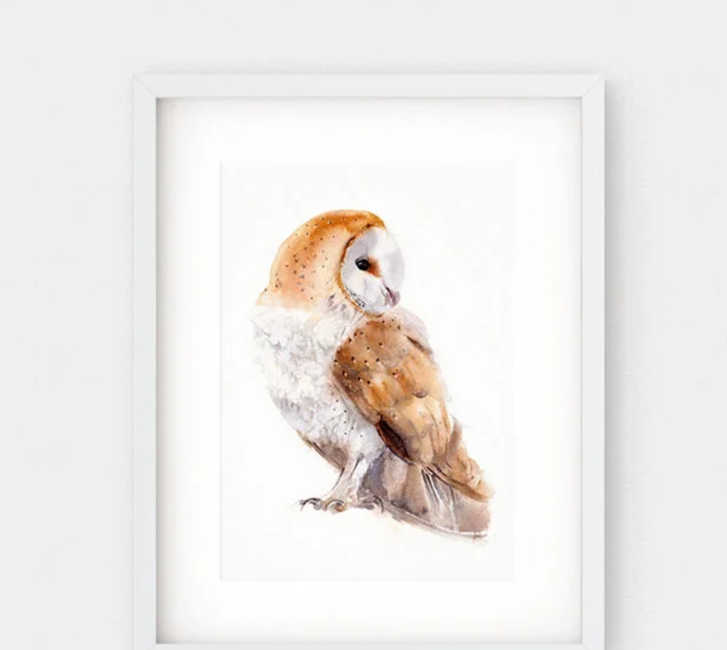 Choose Arts Art by Qing - Fine Art Print Barn Owl 3