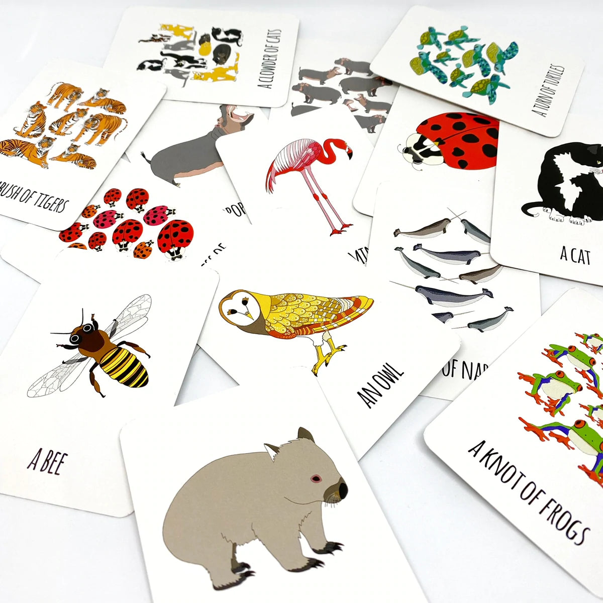 Red Parka - The Collective Nouns Card Game