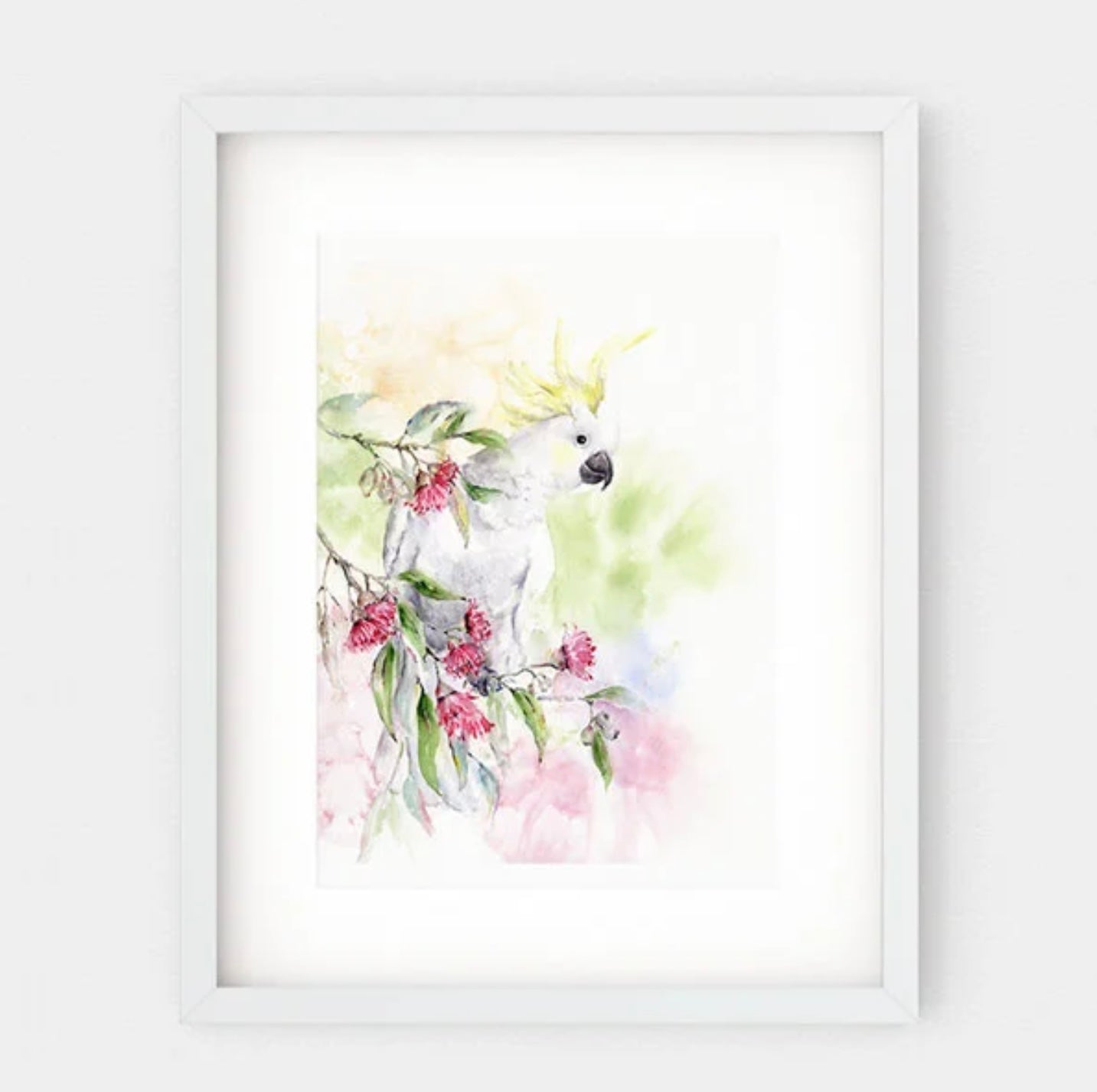 Choose Arts Art by Qing - Fine Art Print Sulphur-crested Cockatoo