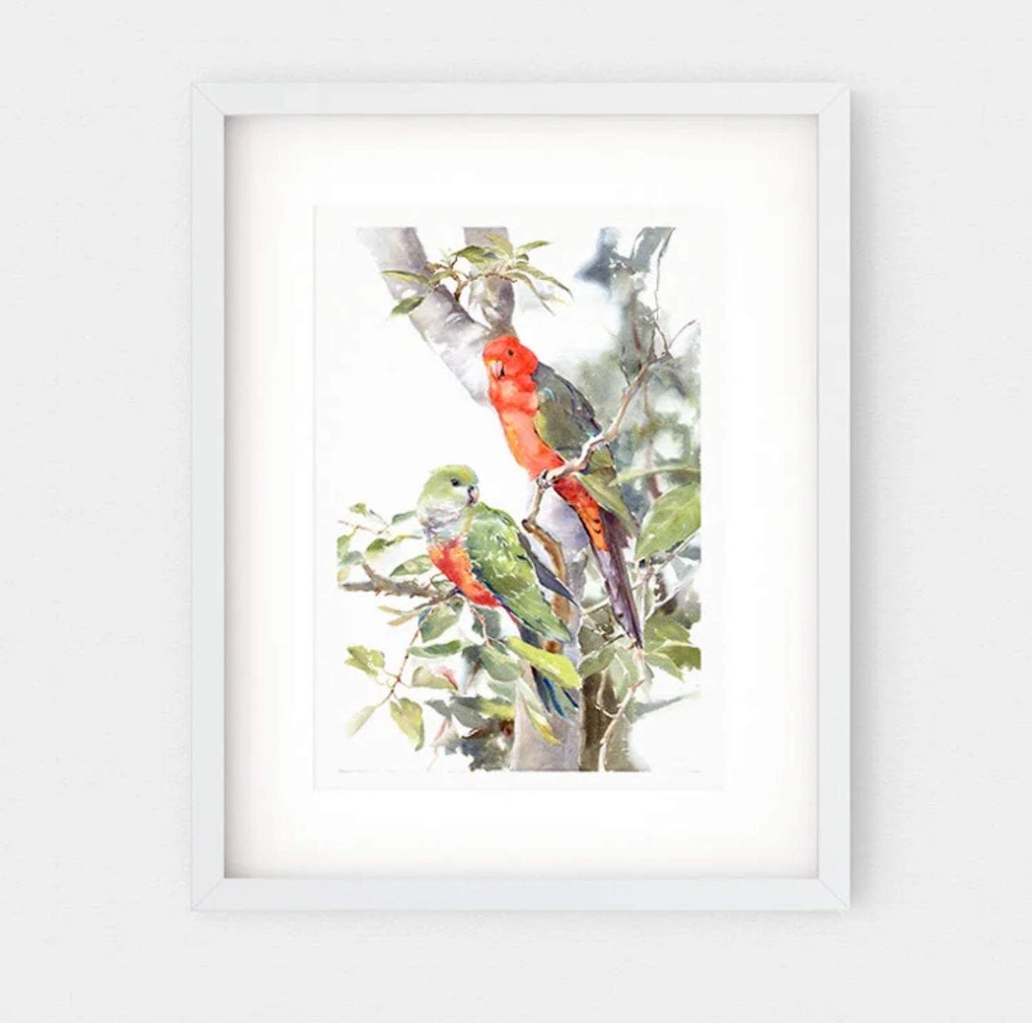Choose Arts Art by Qing - Fine Art Print Australian King Parrots