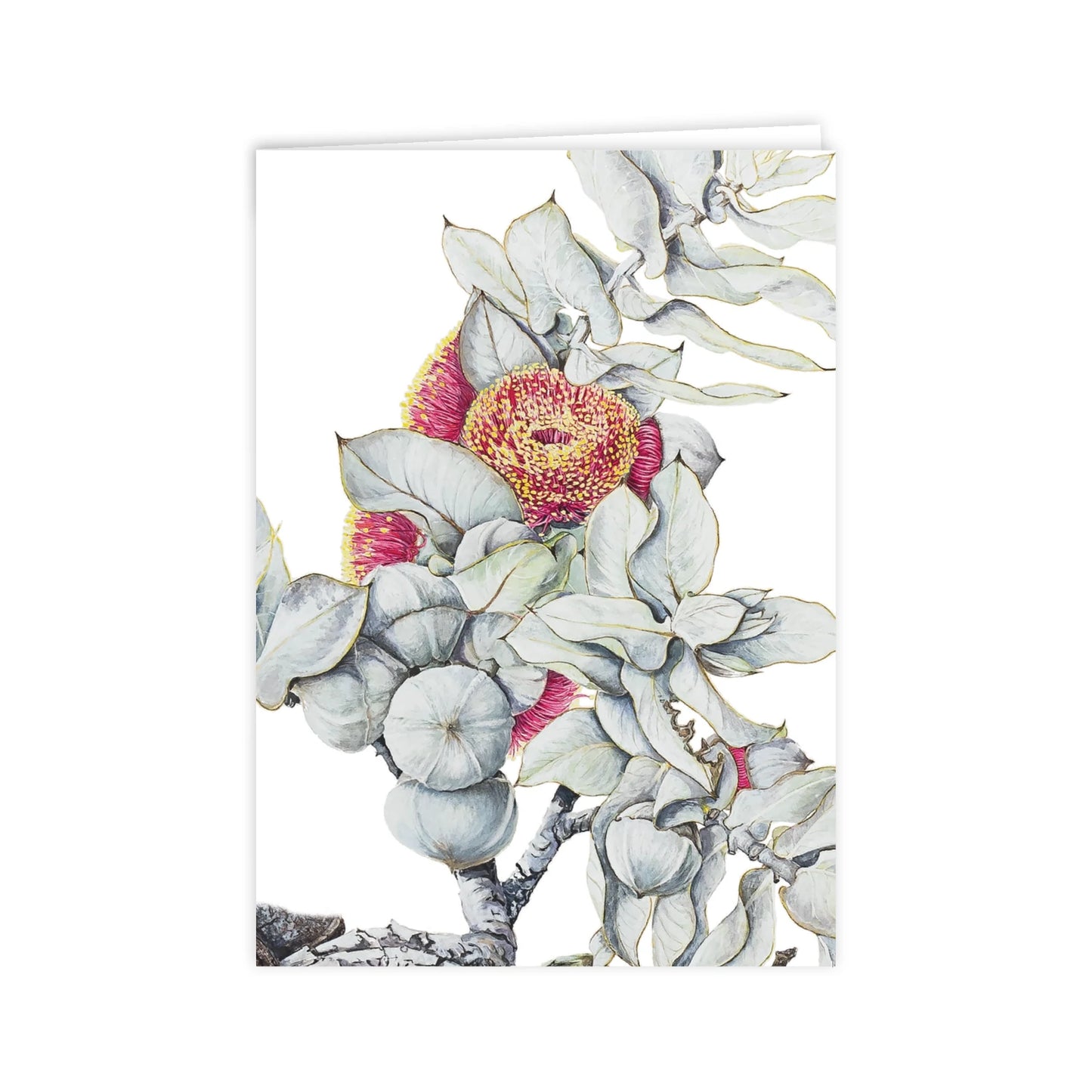 Studio N Card - Eucalyptus Mottlecah