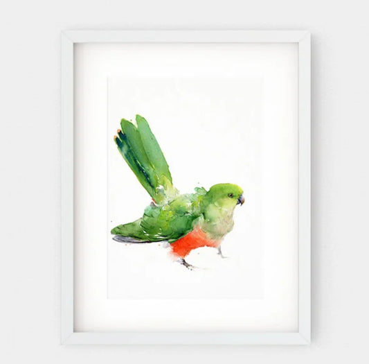 Choose Arts Art by Qing - Fine Art Print King Parrot Female No.2