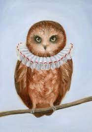 Elliott My Dear Boobook Owl