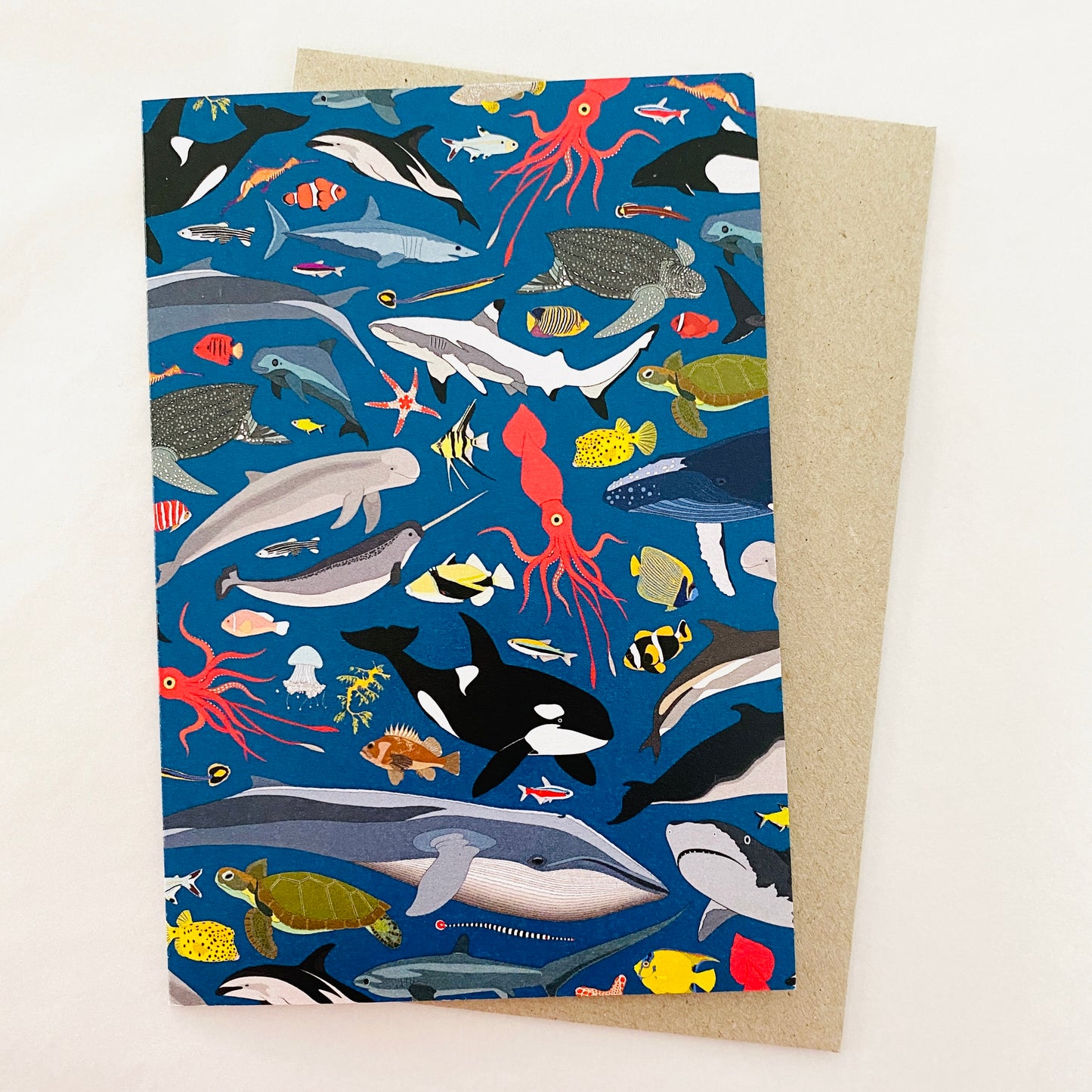 Red Parka Card Ocean Creatures