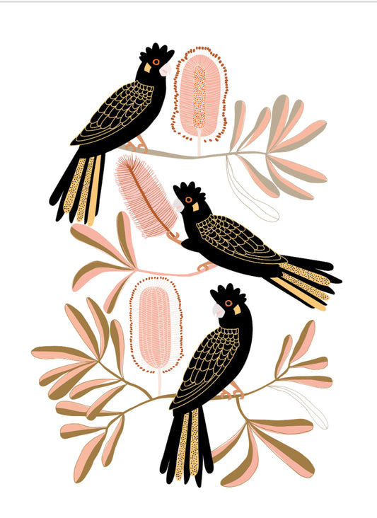 Jocelyn Proust Designs Three Black Cockatoos