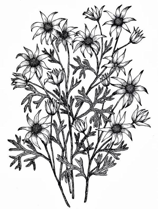 Flowers In Your Hair B/W Print - Flannel Flowers