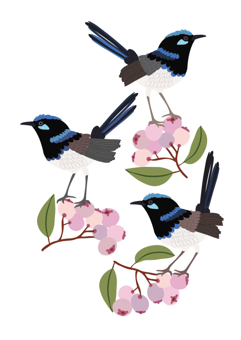 Jocelyn Proust Designs Print - Fairy Wren