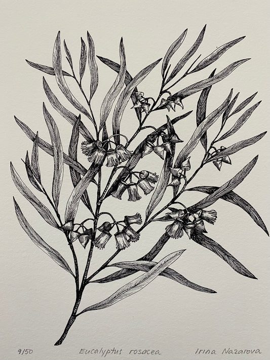 Flowers In Your Hair B/W Print - Red-bud Mallee