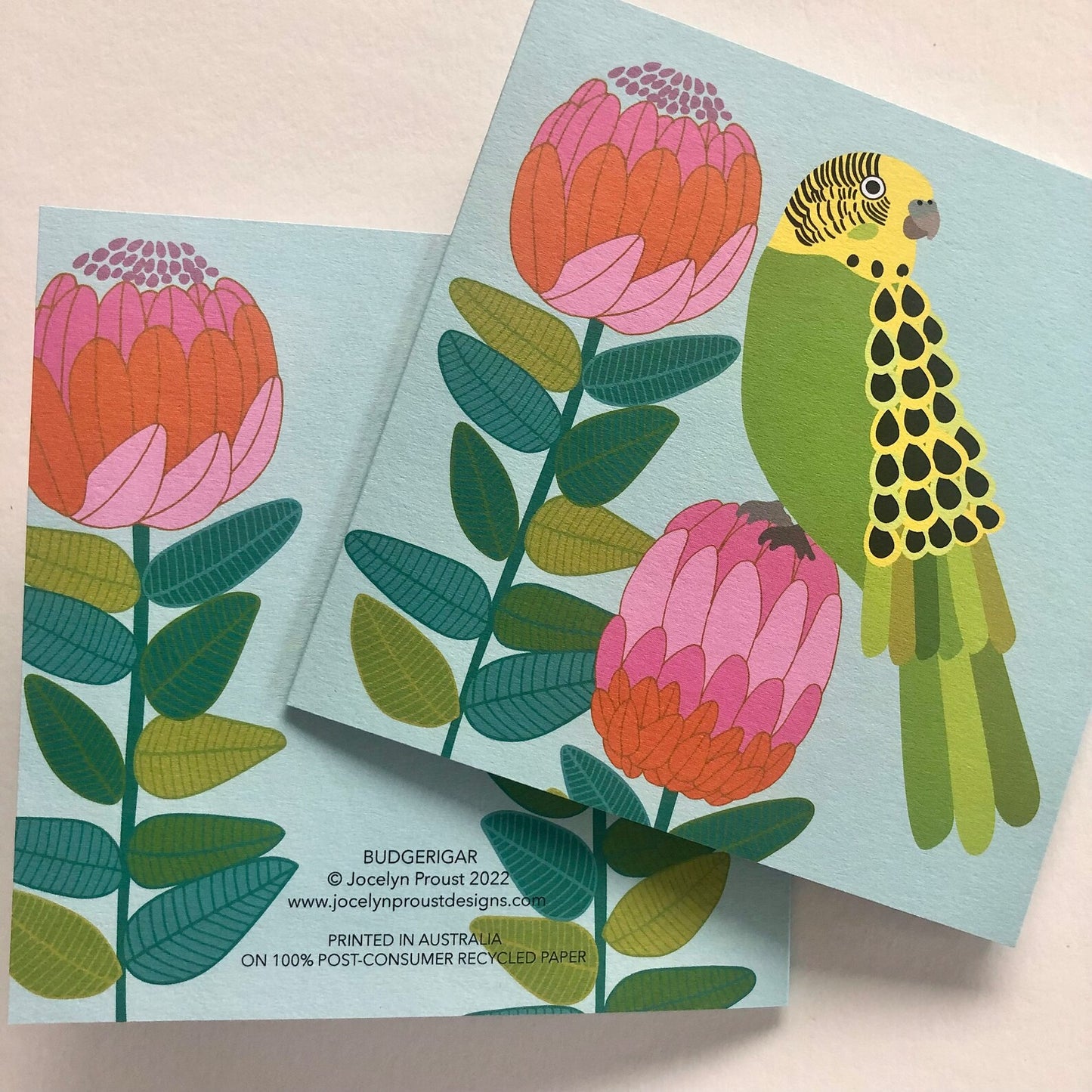 Jocelyn Proust Designs Card - Budgerigar