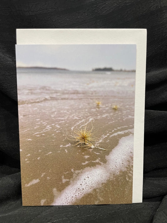 Sensing the Sacred - Shoreline Tumbleweed