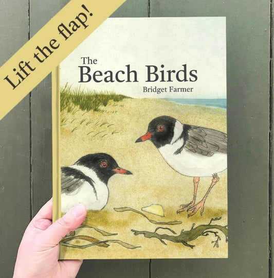 The Beach Birds Book by Bridget Farmer