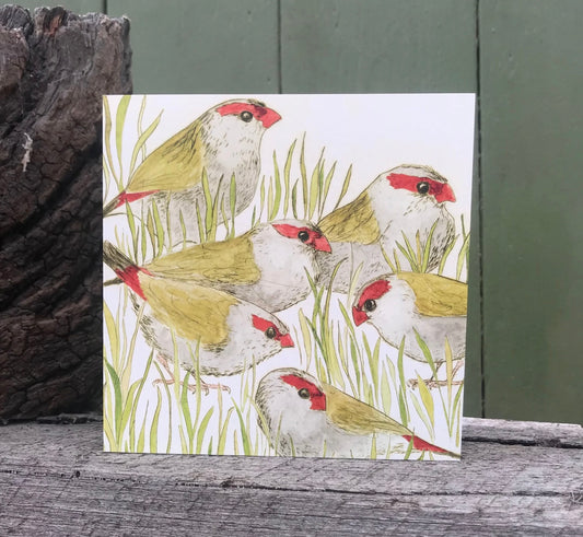 Bridget Farmer - Red Browed Finches Bush Birds Card