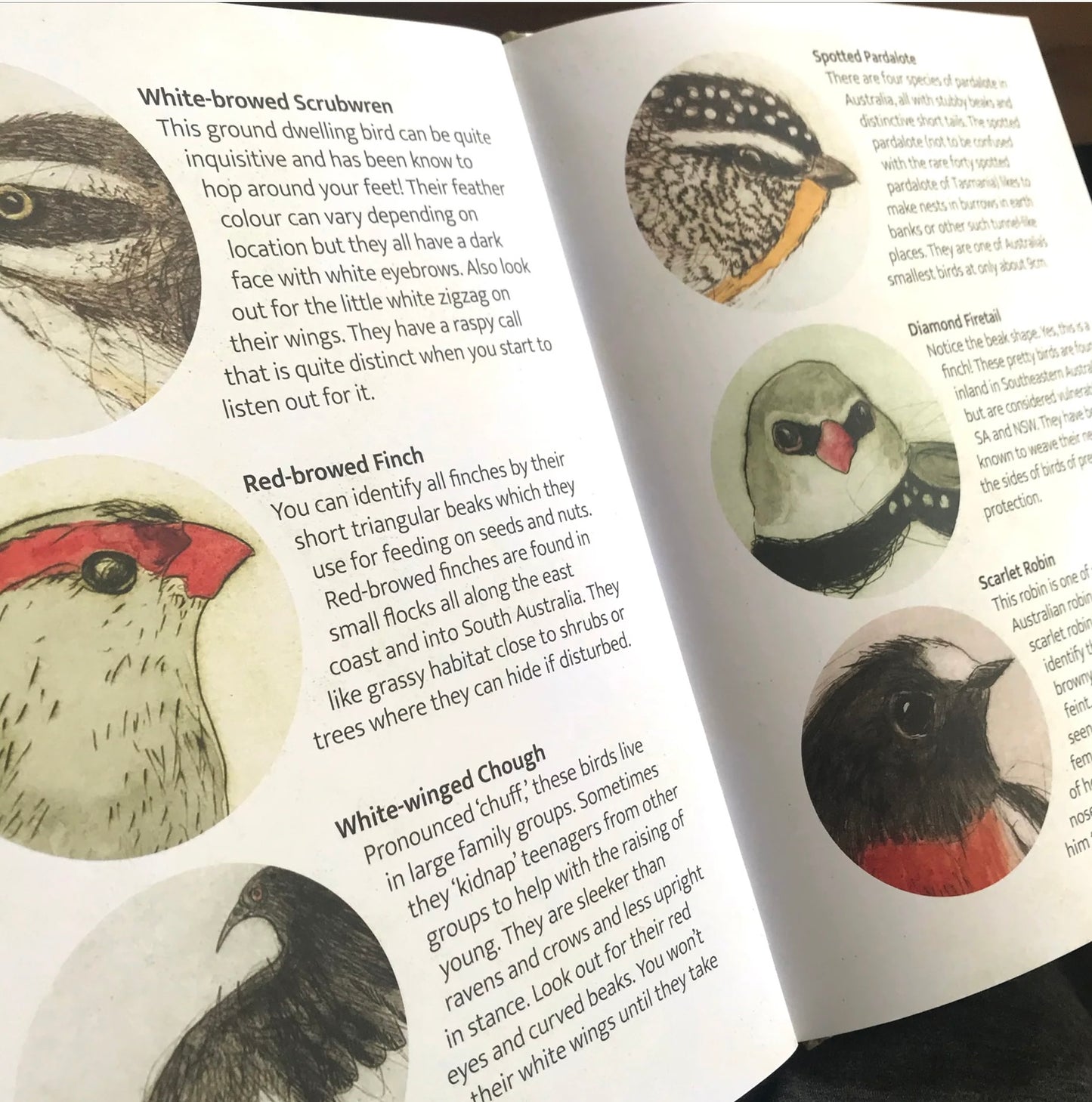 The Bush Birds Book by Bridget Farmer