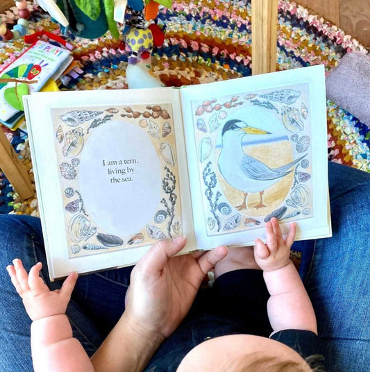 I am a Magpie Book by Bridget Farmer