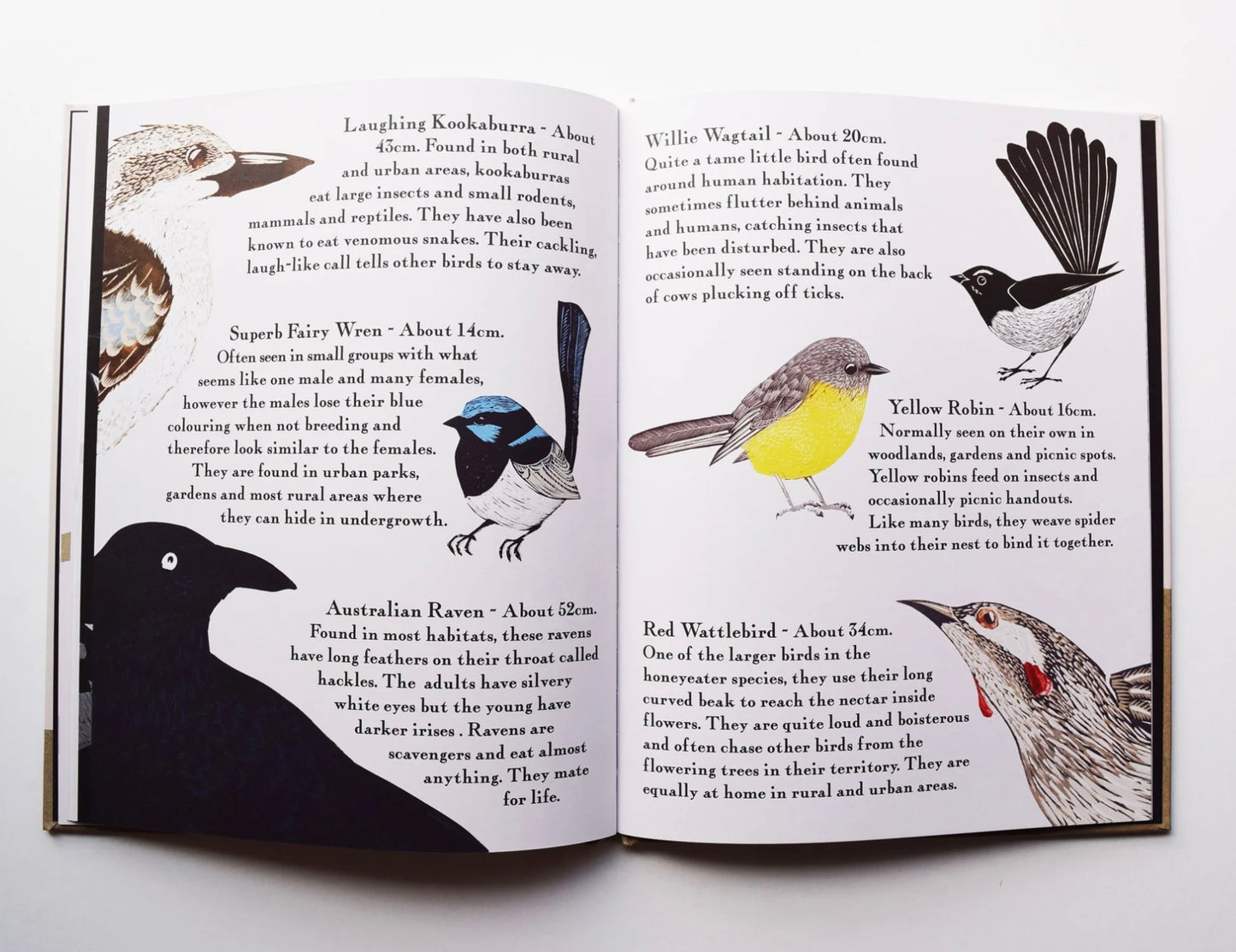 Kookaburra Kookaburra Book by Bridget Farmer