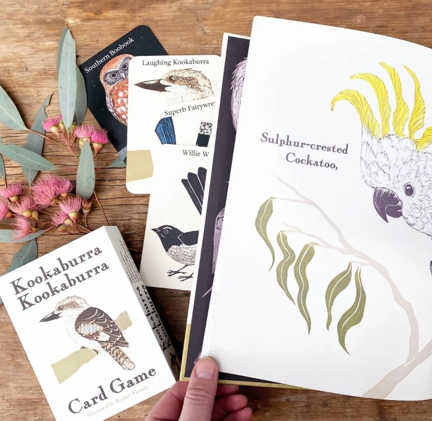 Kookaburra Kookaburra Book by Bridget Farmer