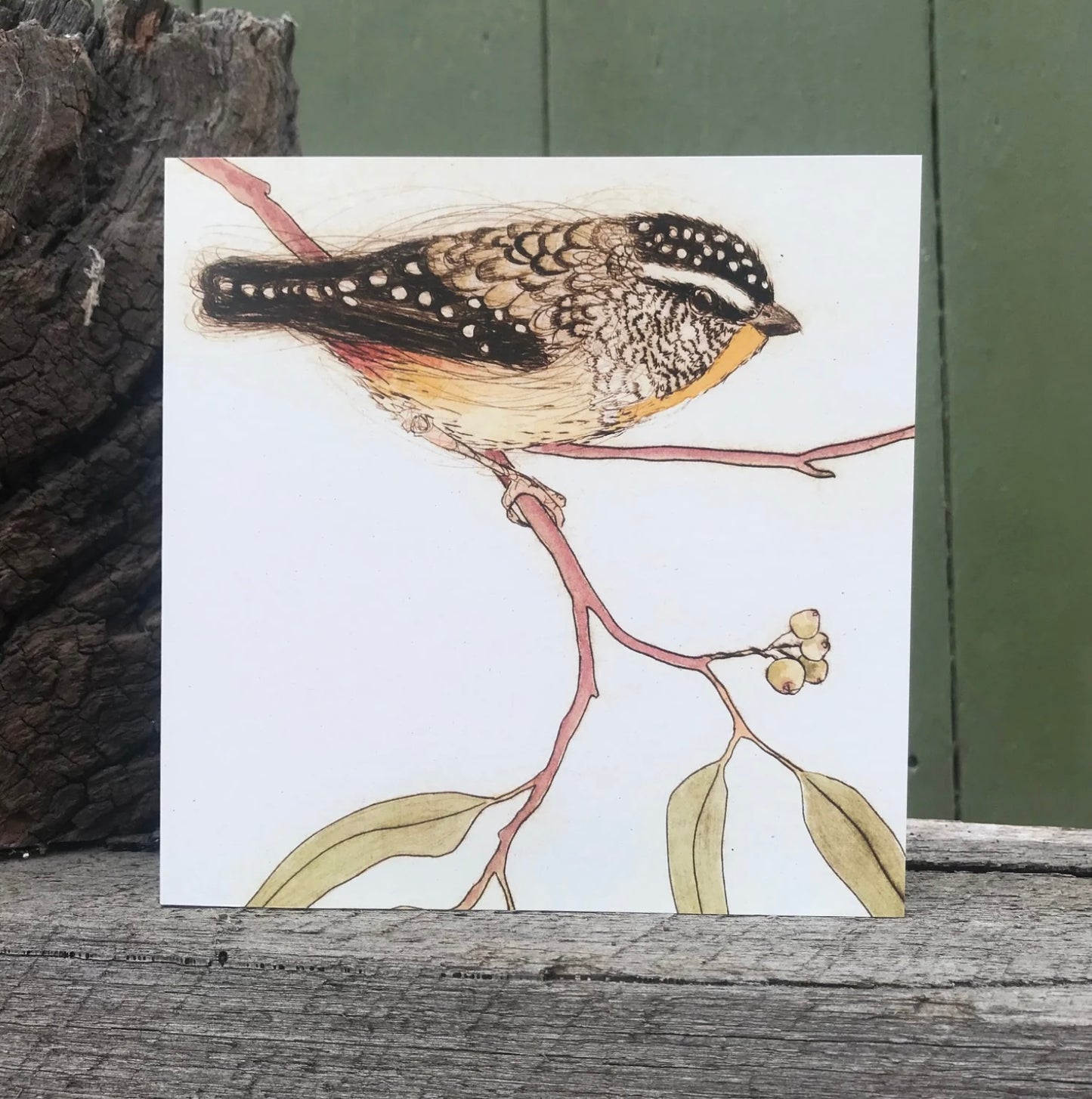 Bridget Farmer - Spotted Pardalote Bush Birds Card