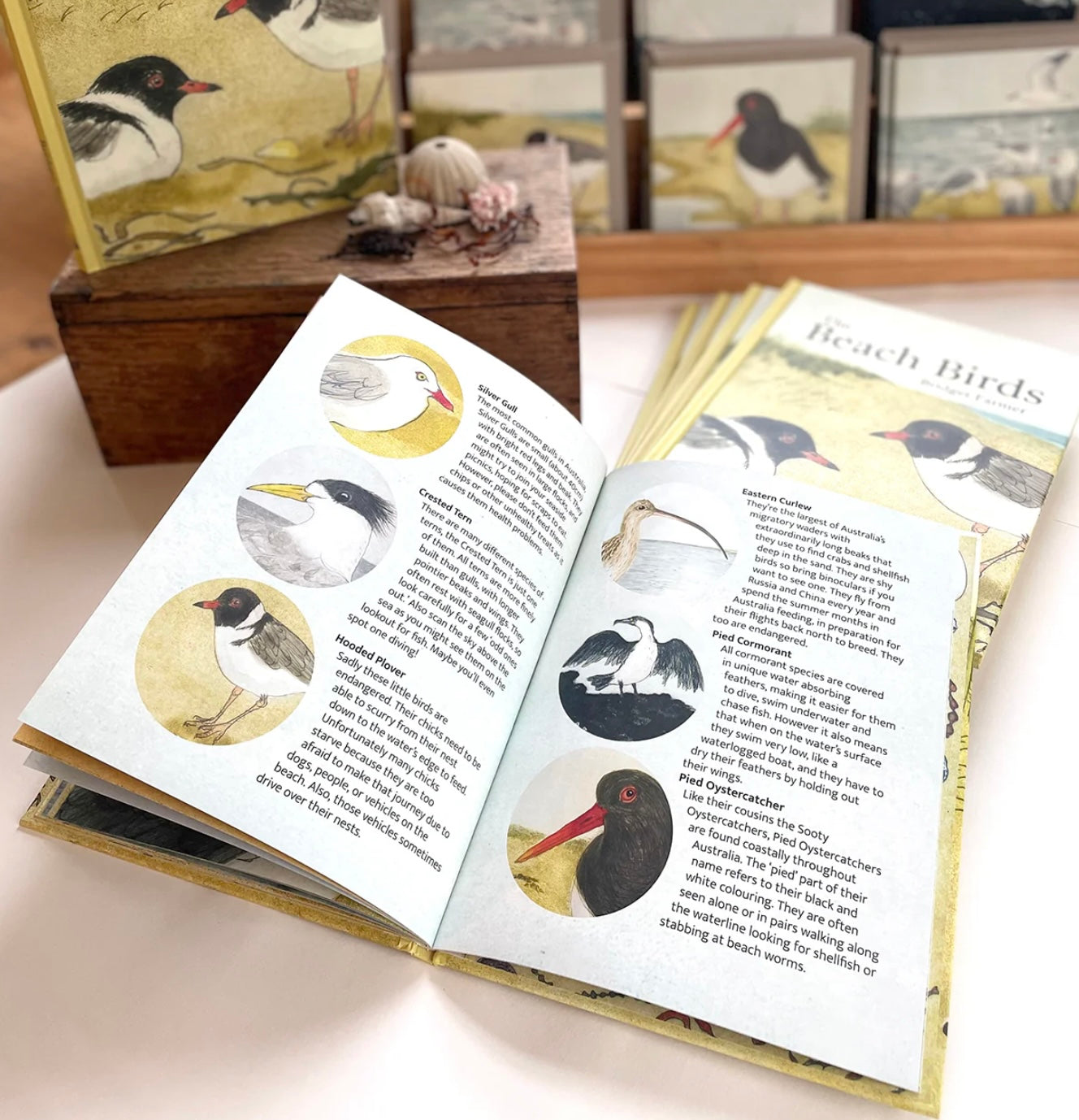 The Beach Birds Book by Bridget Farmer