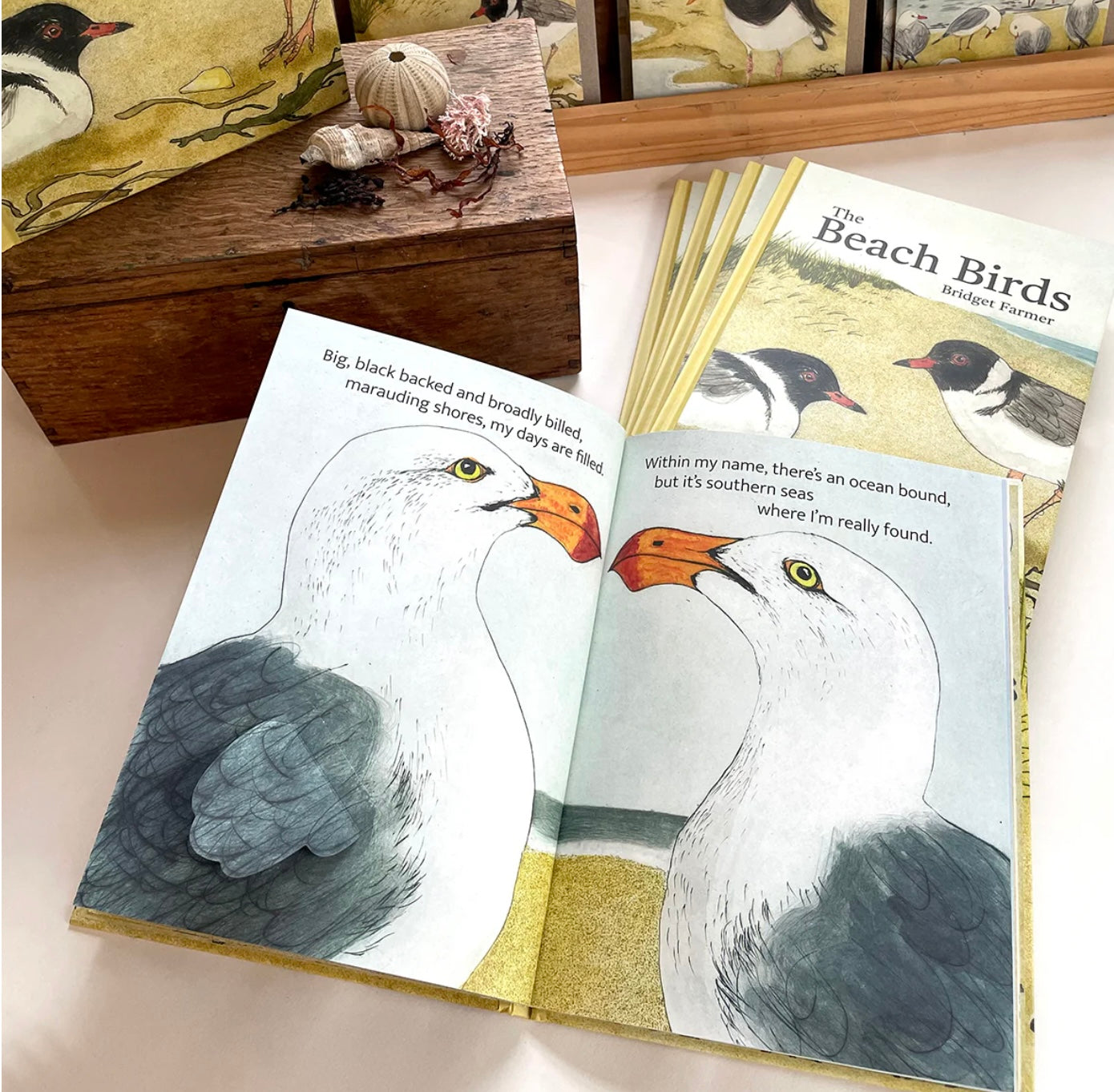 The Beach Birds Book by Bridget Farmer