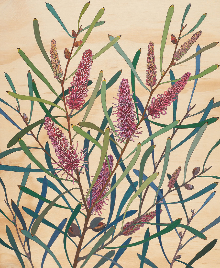 Flowers In Your Hair Print - Pink Spike Hakea