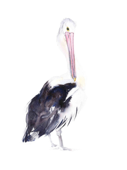 Choose Arts Art by Qing - Fine Art Print Pelican