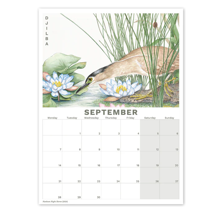 Studio N Calendar 2026