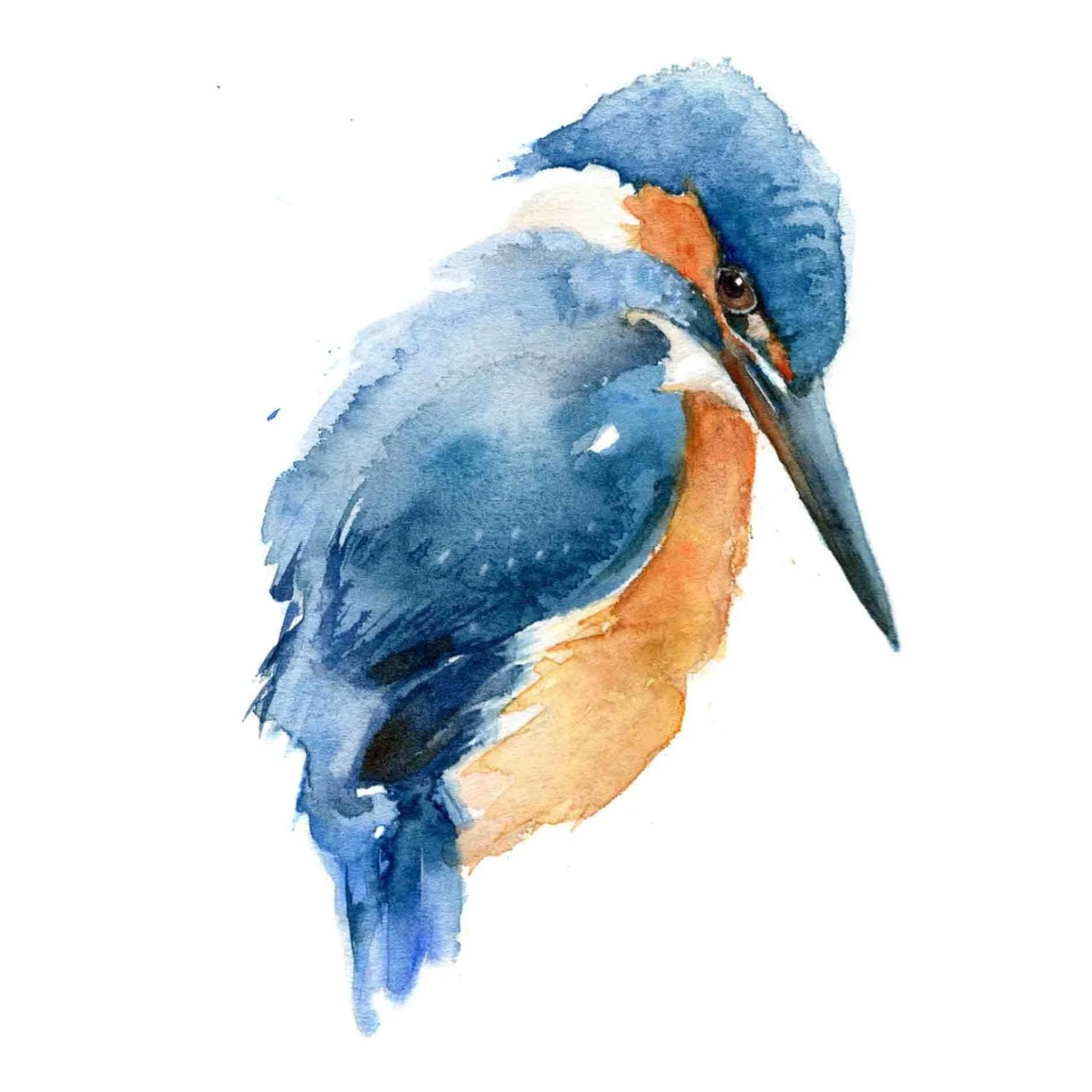 Choose Arts Art By Qing - Fine Art Print, Kingfisher