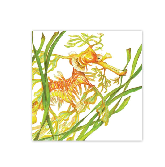 Studio N Square Card - Leafy Sea Dragon