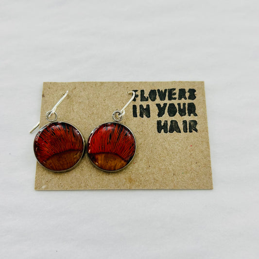 Flowers In Your Hair Drop Earrings - Medium Round, Black Gumnut
