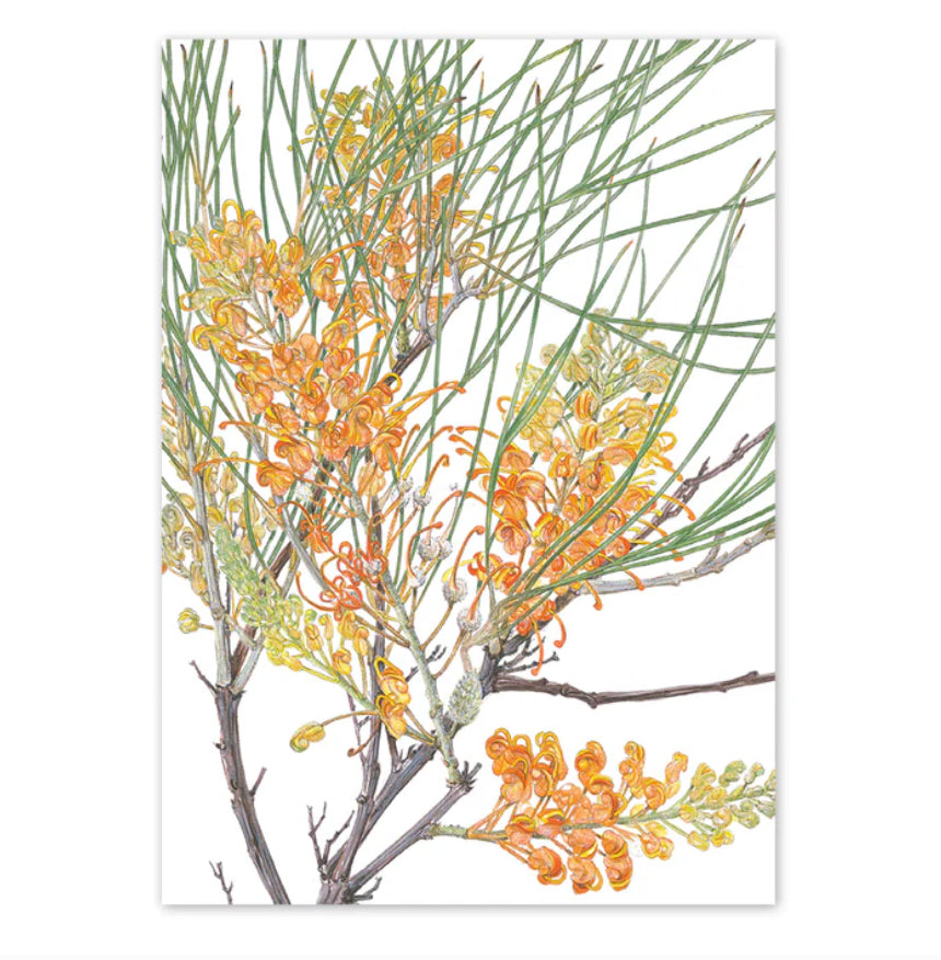 Studio N Card - Honeysuckle Grevillea