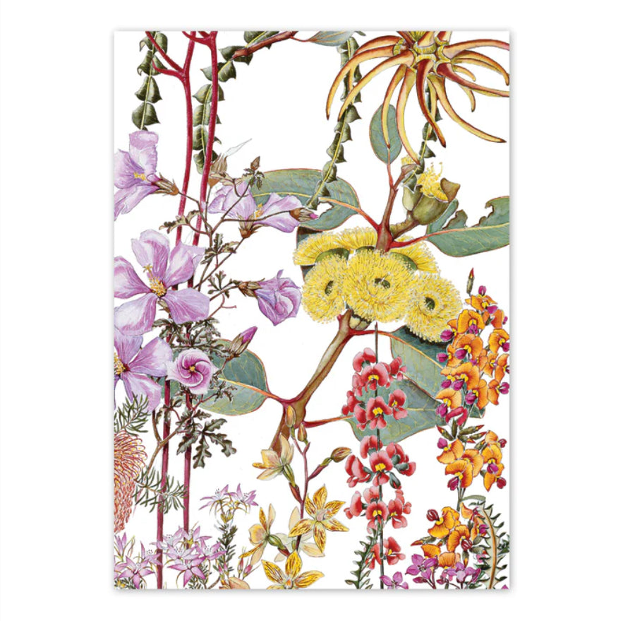 Studio N Card - Wildflowers of the Southern Heathland