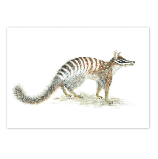 Studio N Card - Numbat