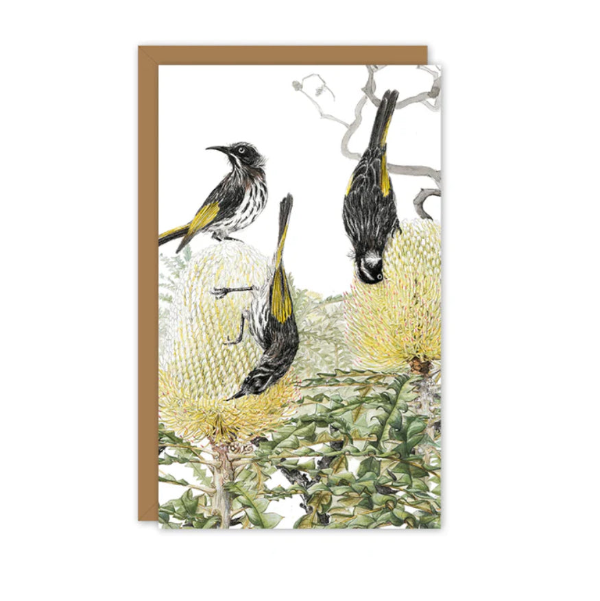 Studio N Small Card - Honeyeaters on Banksia