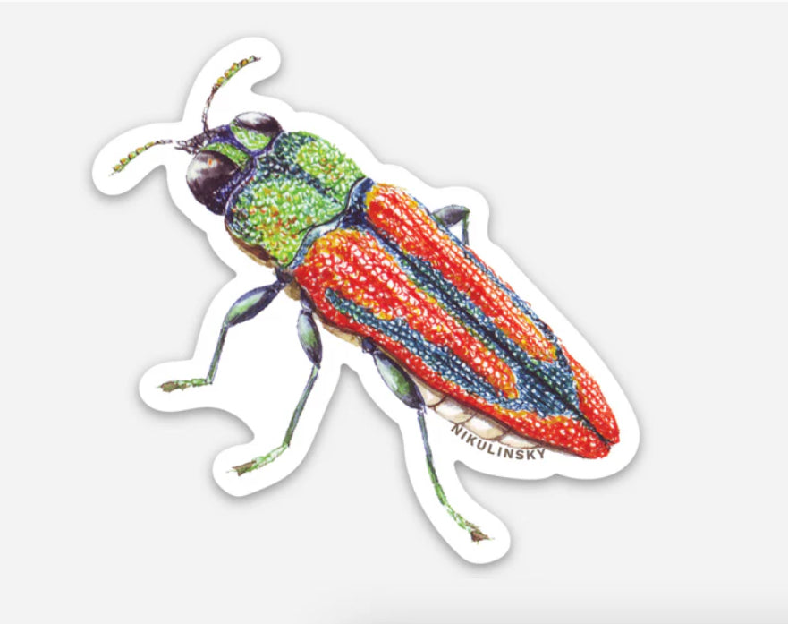 Studio N Sticker - Red Jewel Beetle