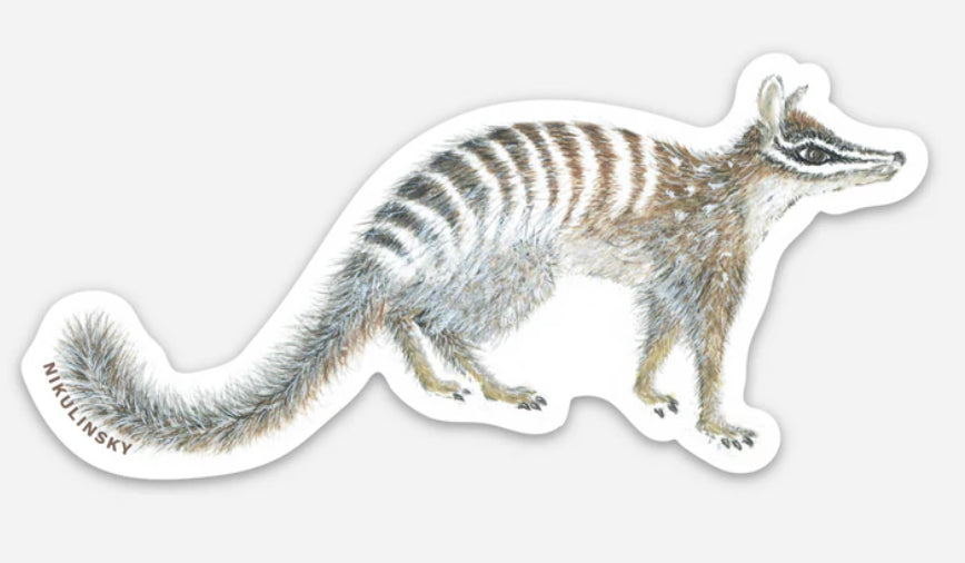 Studio N Sticker - Numbat