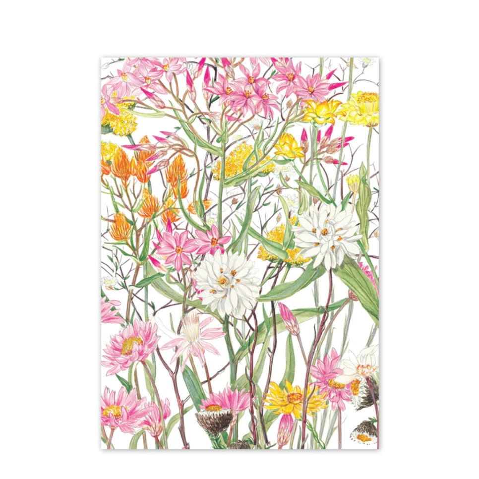 Studio N Card - Desert Daisies